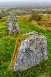 Looking along the stone row