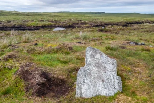 A standing stone protruding from the peat