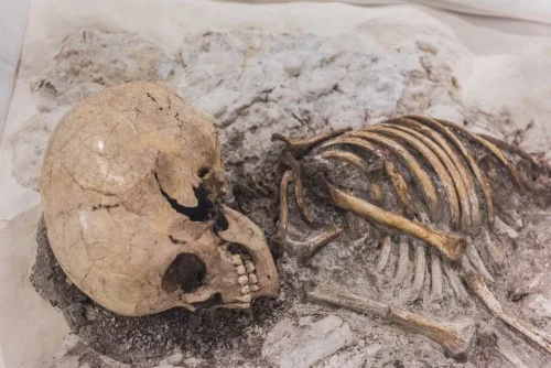 Skeleton of a child from Windmill Hill