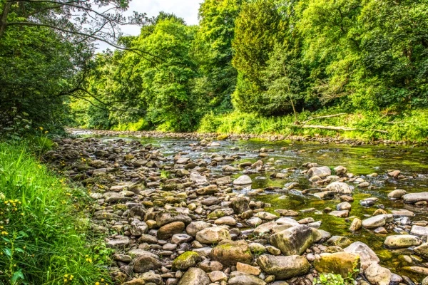 The River Allen at Allen Banks