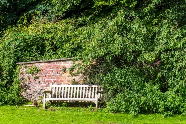 A pleasant bench at Allen Banks