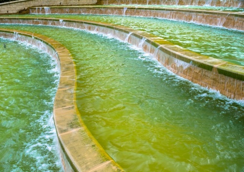 Alnwick Garden's Grand Cascade