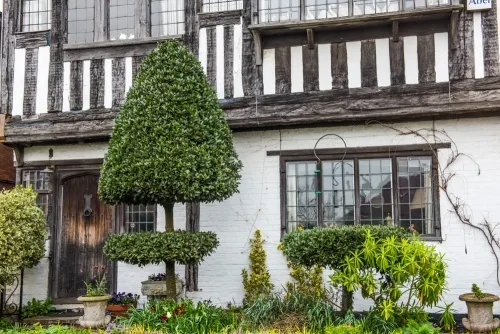 A pretty timber-framed house on High Street