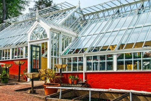 Ardencraig Gardens glasshouse