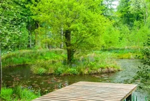 A quiet lochan in the upper garden