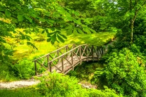 Wooden bridge on a woodland trail