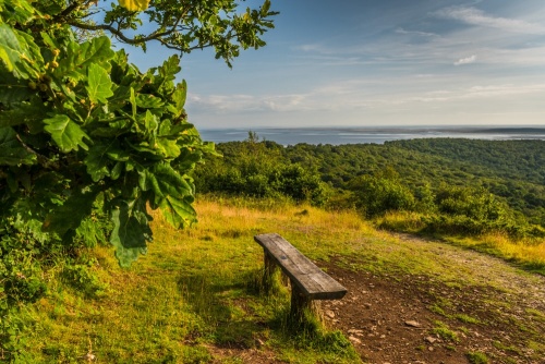 The view from Arnside Knott