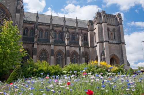 Arundel Cathedral