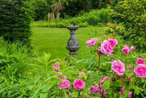 The peaceful rear gardens