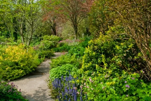 A garden trail in spring