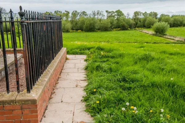 The Abbey site from the Monument