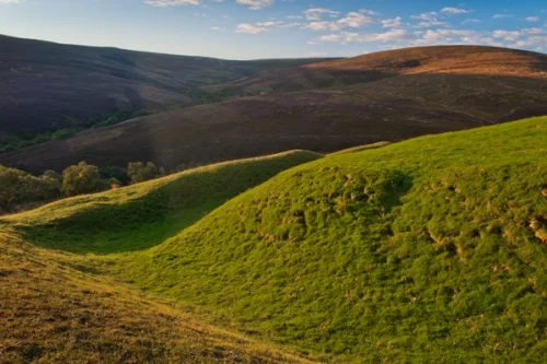 The castle earthworks