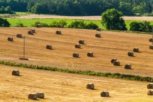 Battle of Auldearn battlefield
