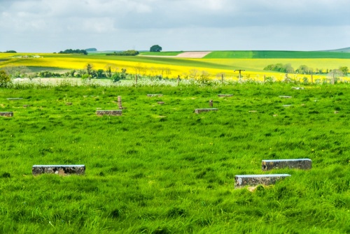 Avebury Sanctuary
