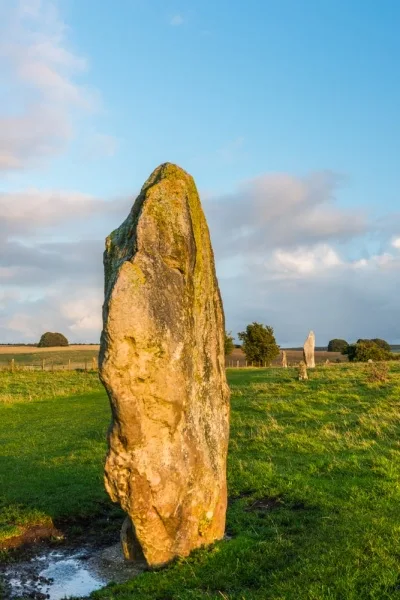 The Avenue in late evening