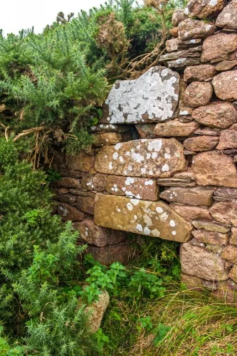 A ruined cottage fireplace