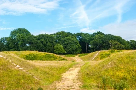 Entering the earthworks
