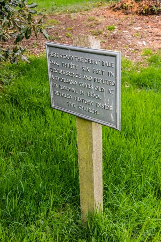 The site of the great Bale Oak