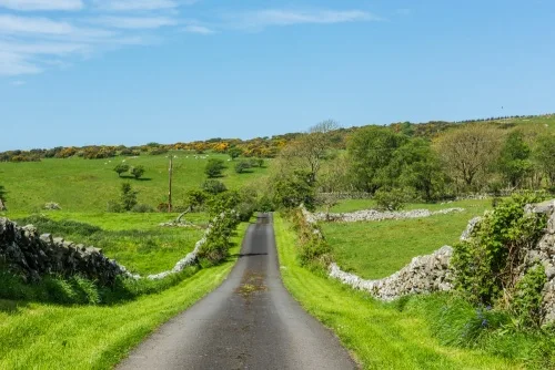 Follow the drive to Elrig House