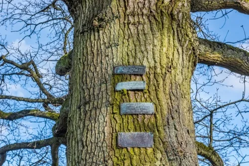 Memorial plaques, village green