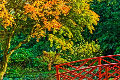 The Oriental Bridge at Batsford Arboretum