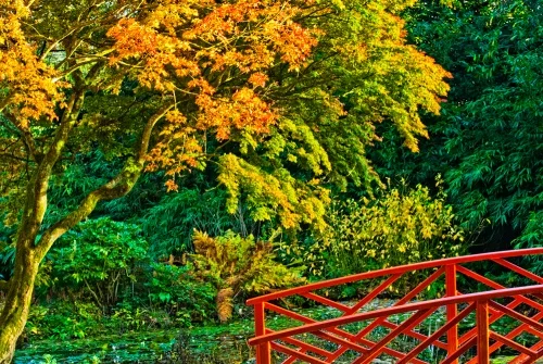 Autumn colours, Batsford Arboretum