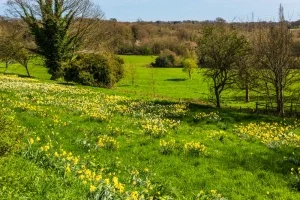Senlac Hill, Battle, East Sussex