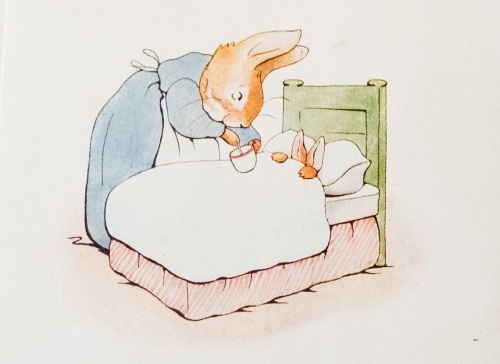 The Tale of Peter Rabbit privately printed edition, 1901