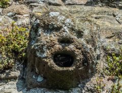 A medieval gargoyle head