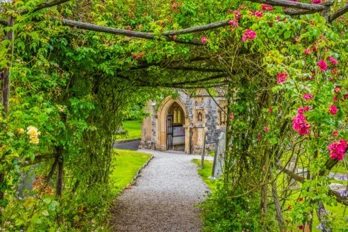 The rose pergola churchyard path