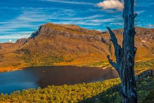 Loch Maree from the Mountain Trail