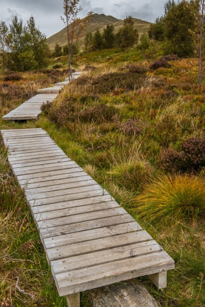 A boardwalk on the Edramucky Nature Trail