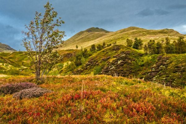 Beinn Ghlas from the Ben Lawers trail