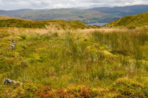 Turf-covered ruins of old shielings