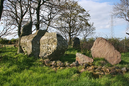 Berrybrae Stone Circle (c) Anne Burgess