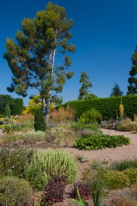 The Scree Garden