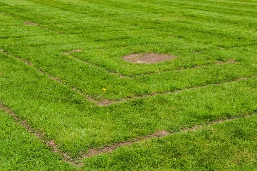 Roman-style turf maze, Bignor Roman Villa