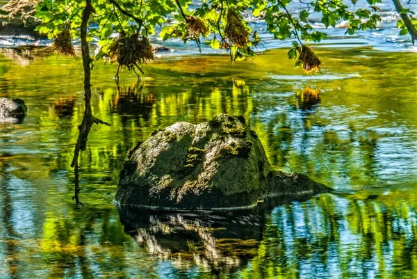 Clear, shady water below the bridge