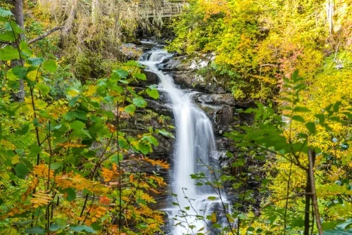 Upper Moness Falls, Birks of Aberfeldy