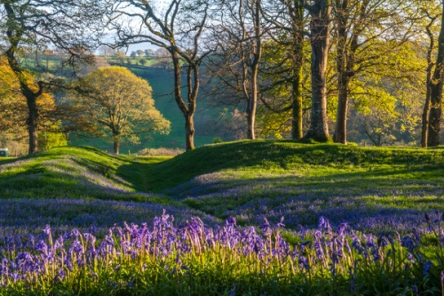 Blackbury Camp Hill Fort