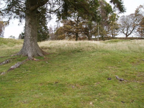 Blackhill Roman Camp (c) Douglas Nelson