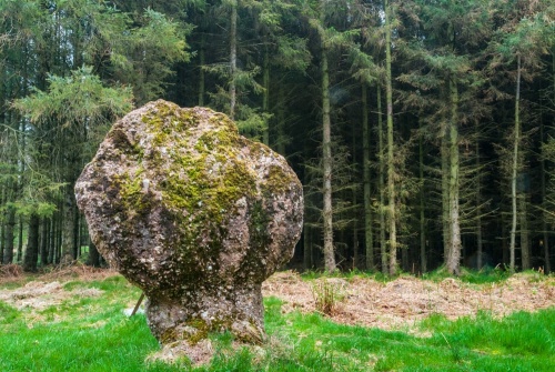 Blackpark Standing Stones