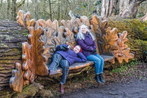 A bench carved from a fallen tree
