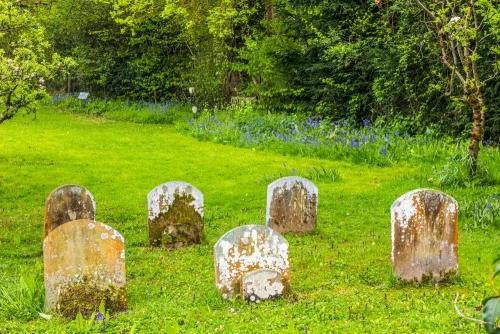 The Quaker burial ground