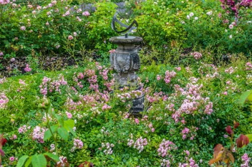 A sundial surrounded by summer flowers
