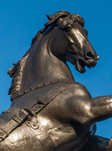 A rearing horse