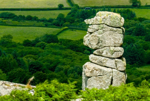 Bowerman's Nose