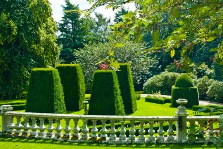 The gardens