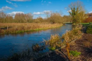 The Peace Garden, Boxford