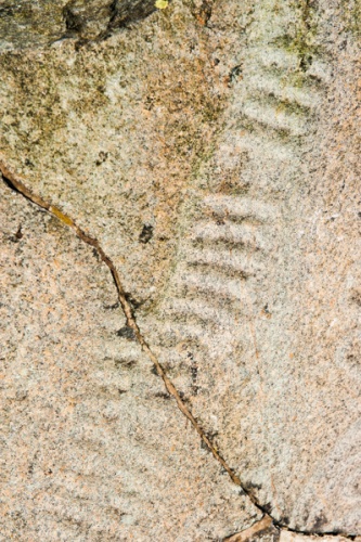 Ogham script